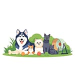 Pets & Animals